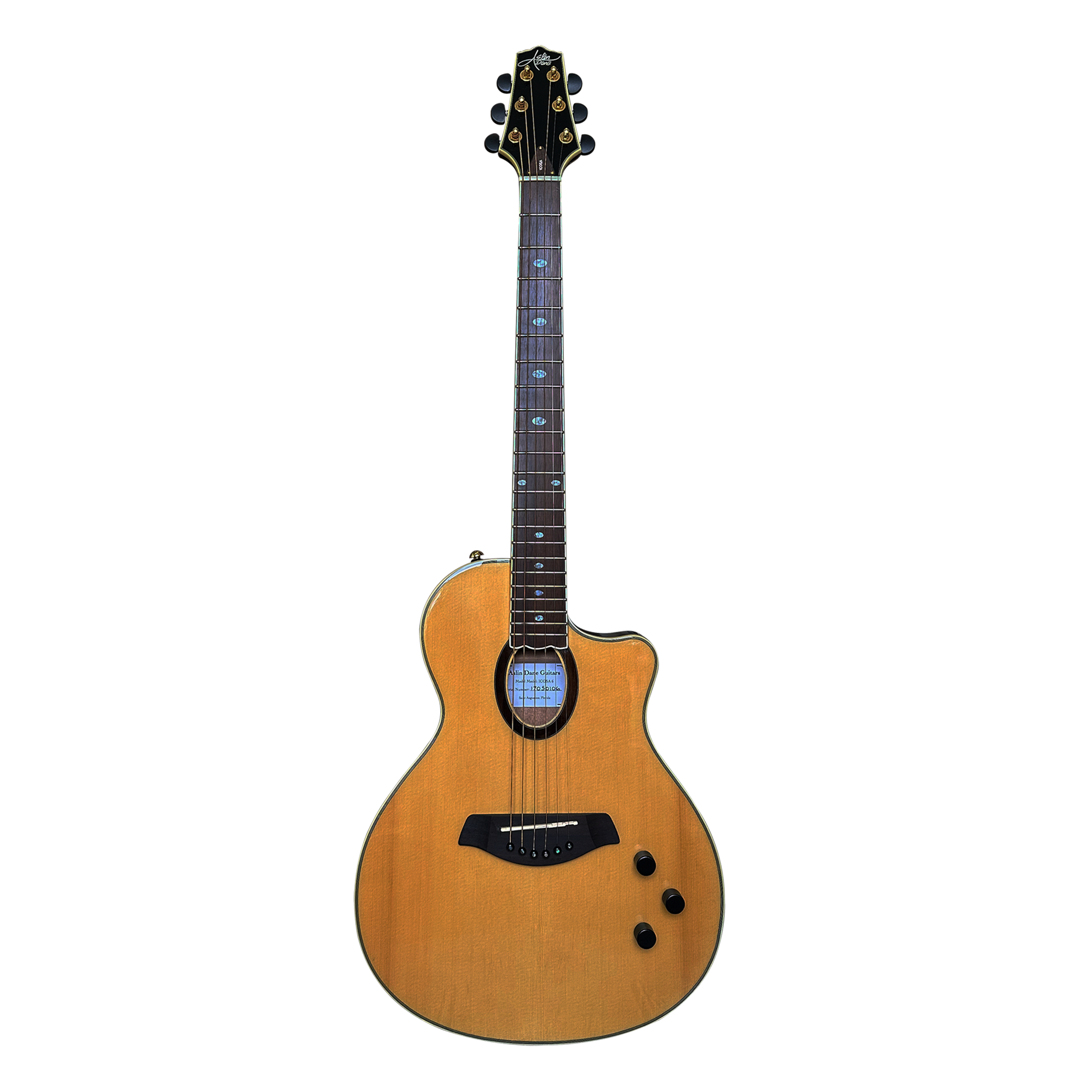 Icosa™ 6 Thin Line | AslinDaneGuitars