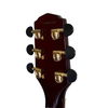 Nashlin Thinline acoustic-electric