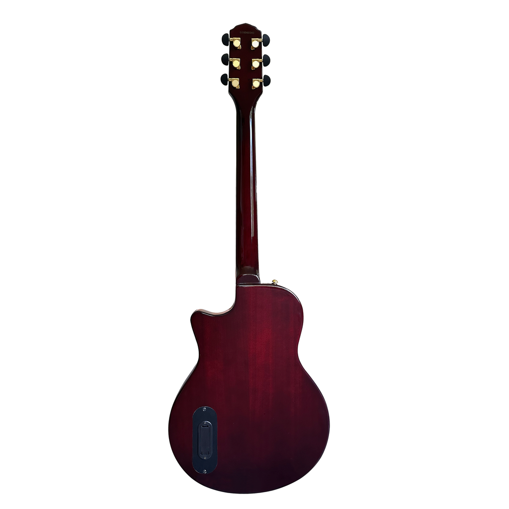 Nashlin Thinline acoustic-electric