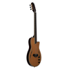 AslinDane Elctric-Acoustic Nashlin Nylon string-