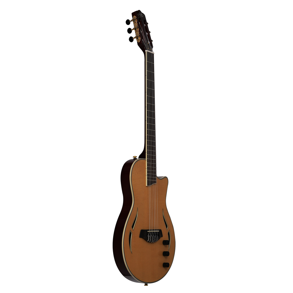 AslinDane Elctric-Acoustic Nashlin Nylon string-