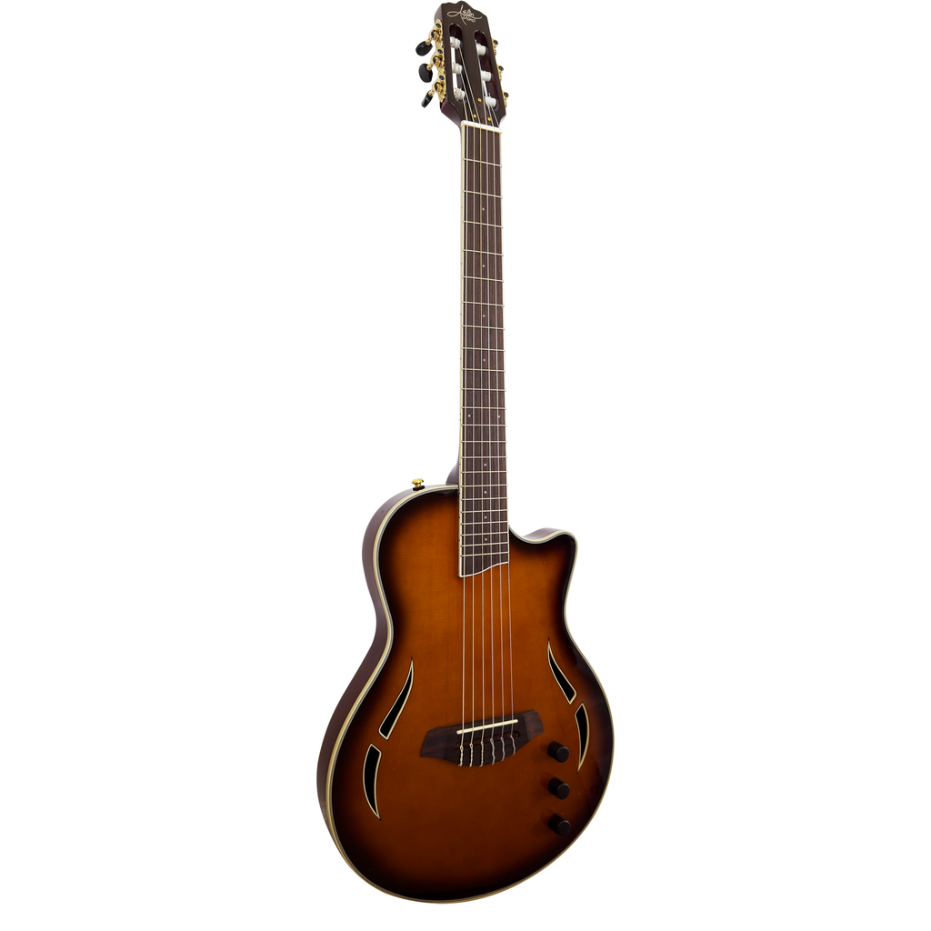 AslinDane Elctric-Acoustic Nashlin Nylon string-