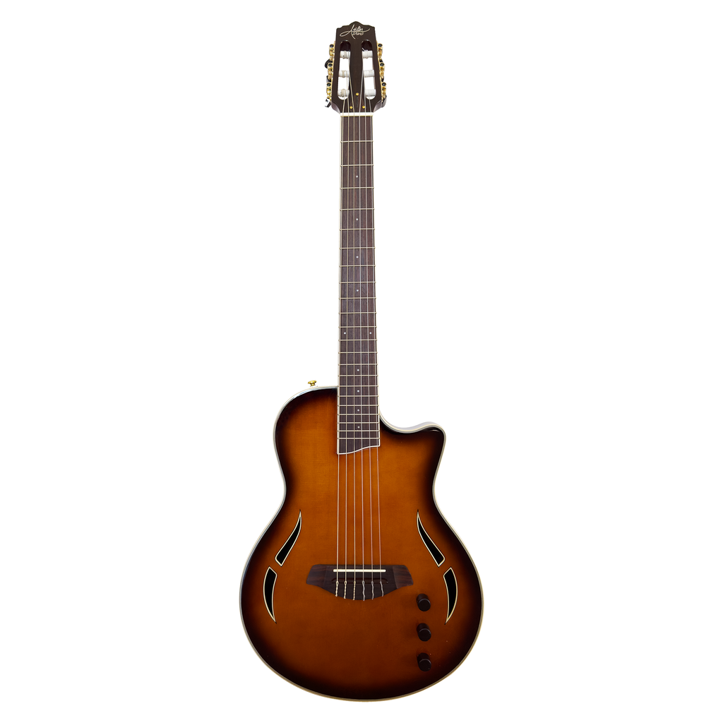 AslinDane Elctric-Acoustic Nashlin Nylon string-