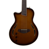 AslinDane Elctric-Acoustic Nashlin Nylon string-