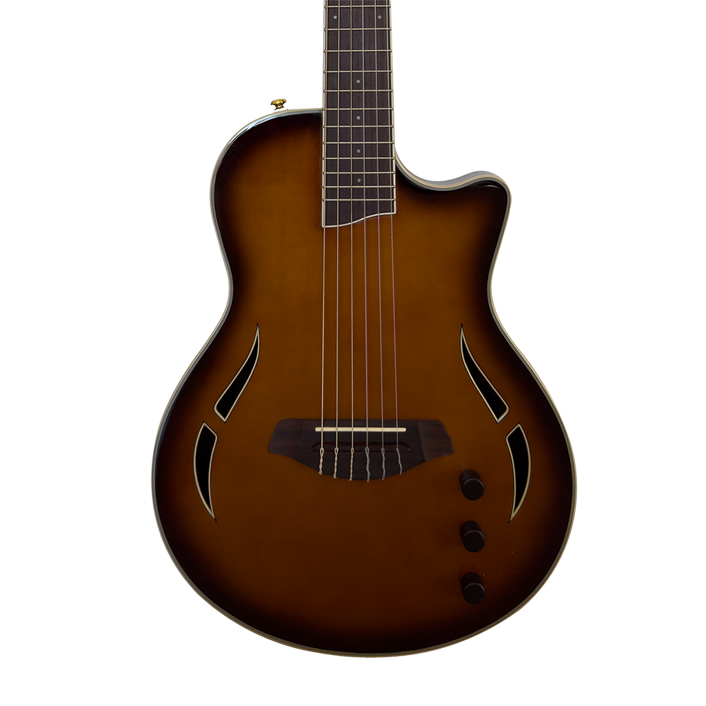 AslinDane Elctric-Acoustic Nashlin Nylon string-