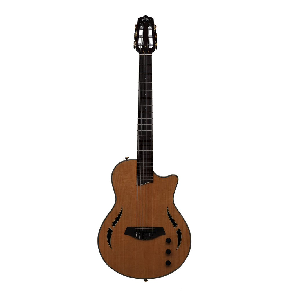 AslinDane Elctric-Acoustic Nashlin Nylon string-