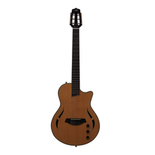 AslinDane Elctric-Acoustic Nashlin Nylon string-