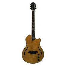 Nashlin Thinline acoustic-electric