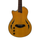 AslinDane Elctric-Acoustic Nashlin Nylon string-