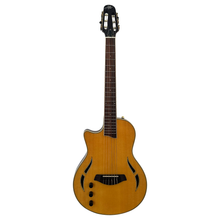 AslinDane Elctric-Acoustic Nashlin Nylon string-